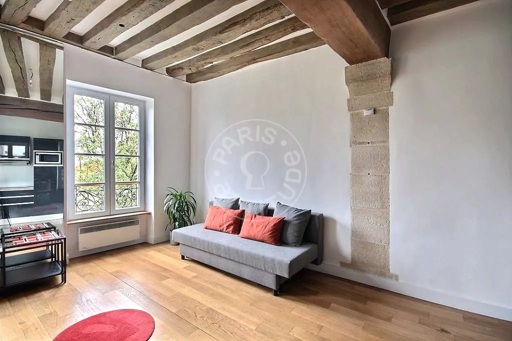 Flat Rue Saint-Julien Le Pauvre in Paris