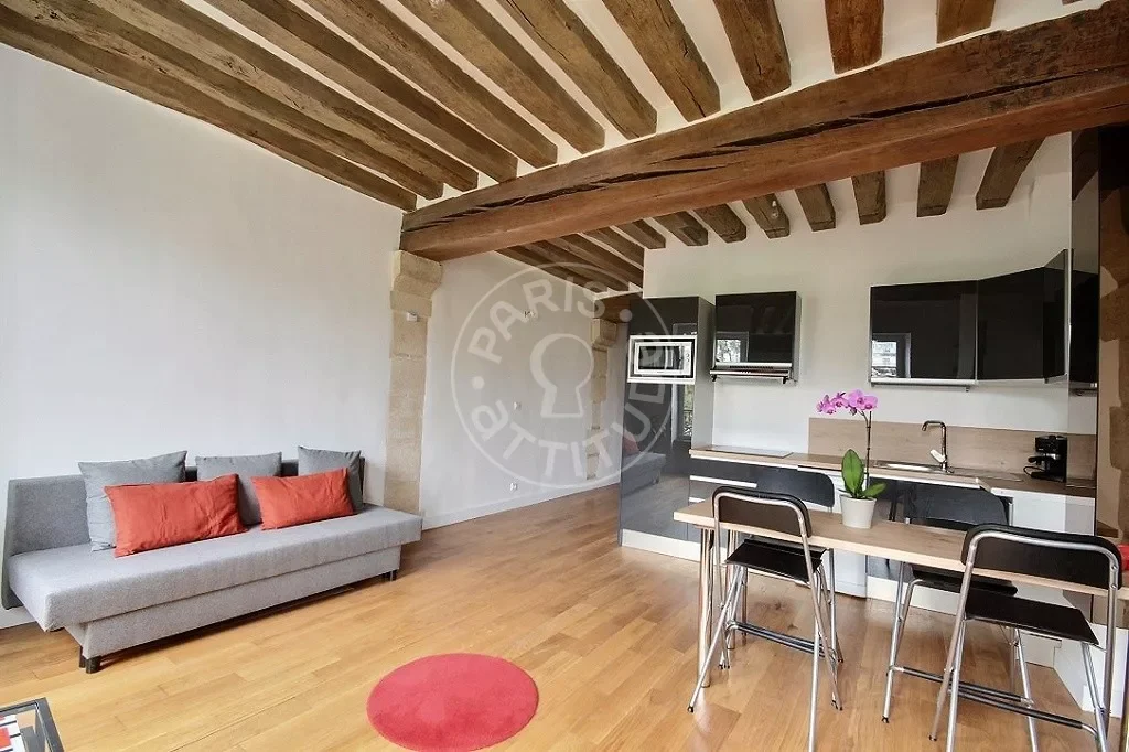 Flat Rue Saint-Julien Le Pauvre in Paris