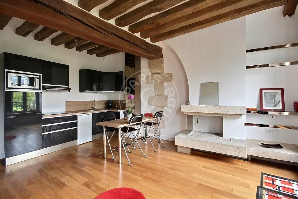 Flat Rue Saint-Julien Le Pauvre in Paris