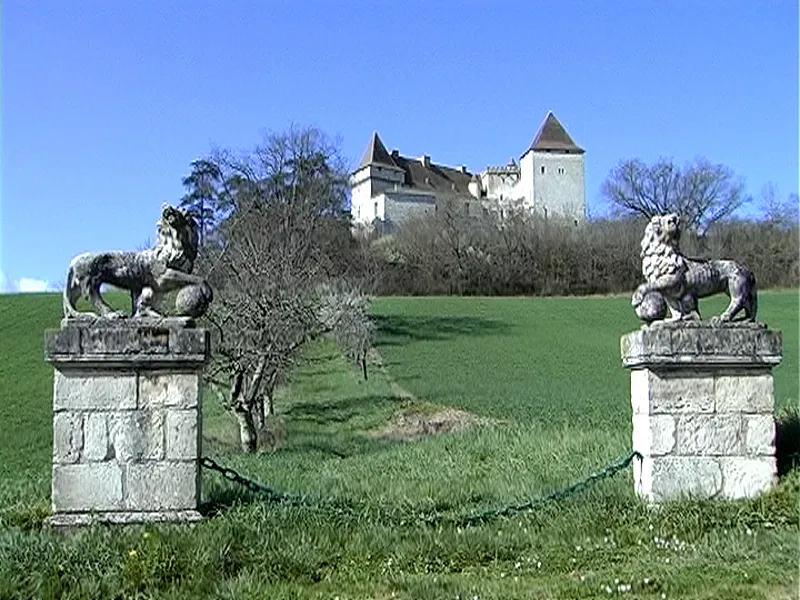 Maison Chemin du Château à Goudourville