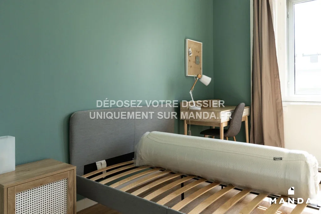 Room Avenue Paul Santy in Lyon