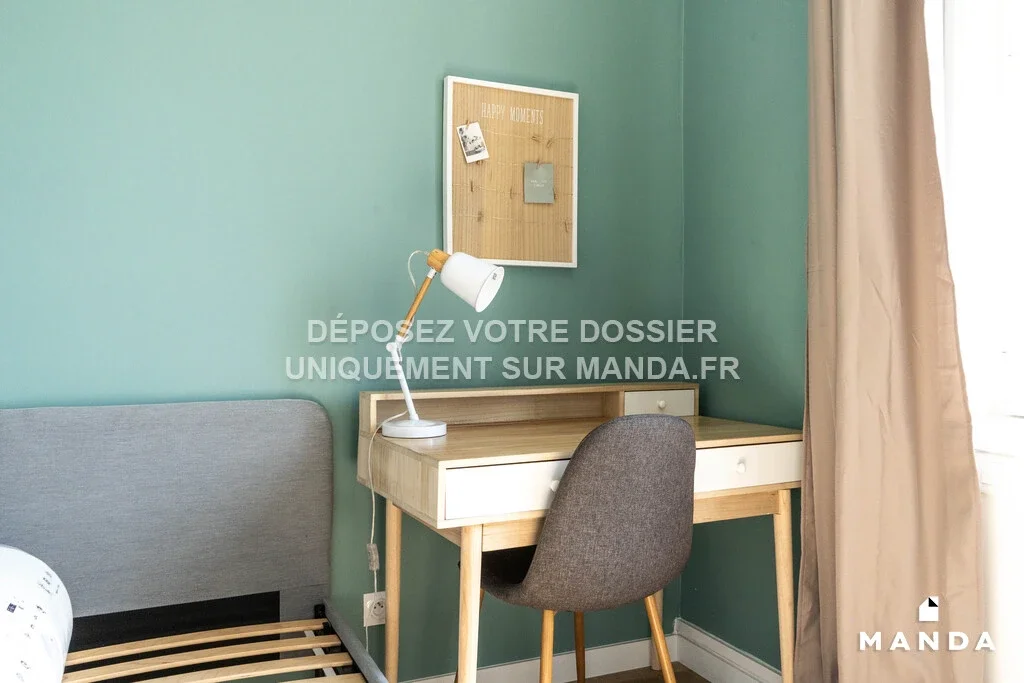 Room Avenue Paul Santy in Lyon