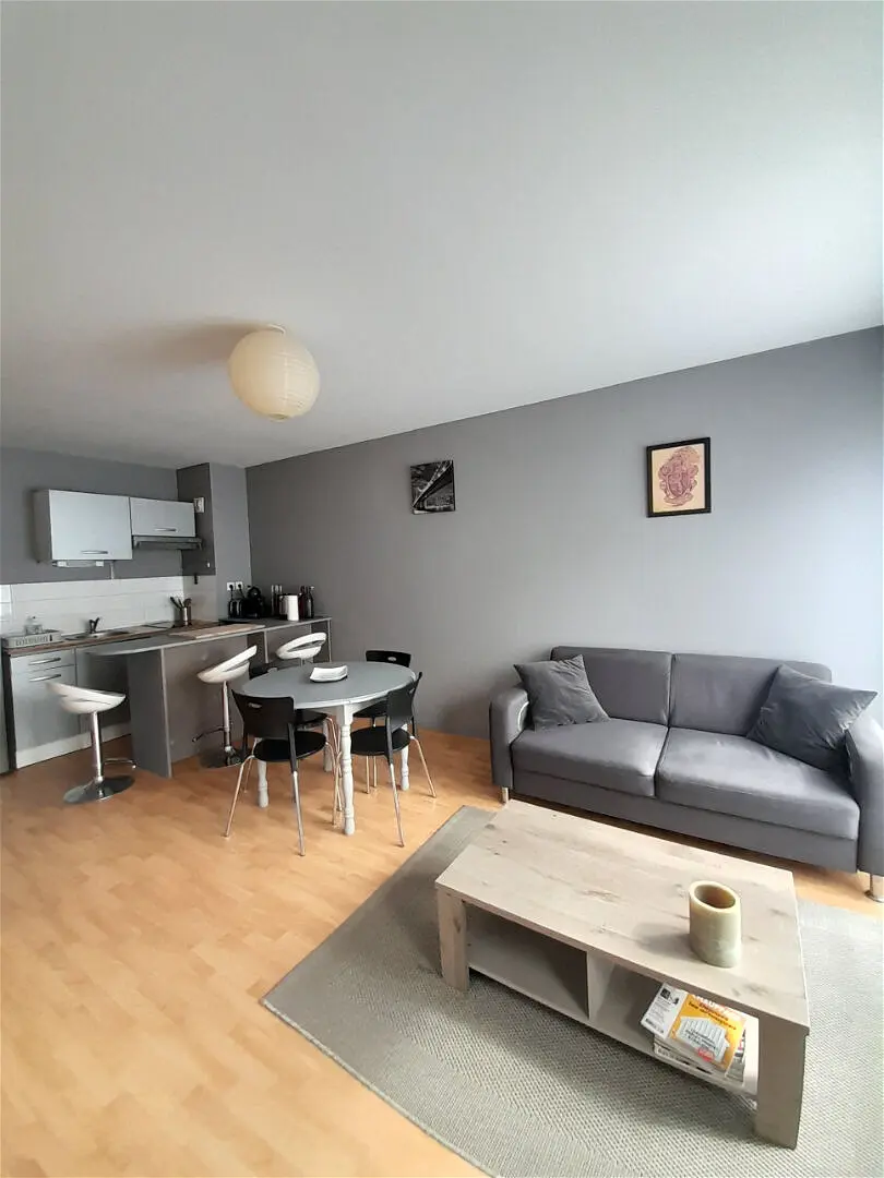 Flat Rue de Buffon in Angers