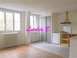 Flat Rue Roger Salengro in Tours