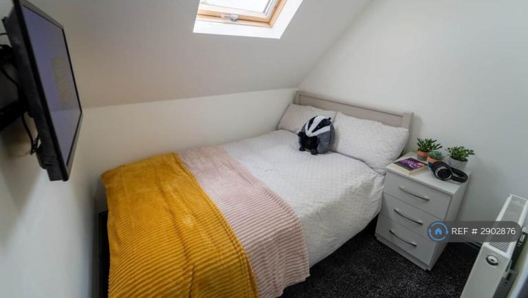Room Bournbrook Road in Birmingham