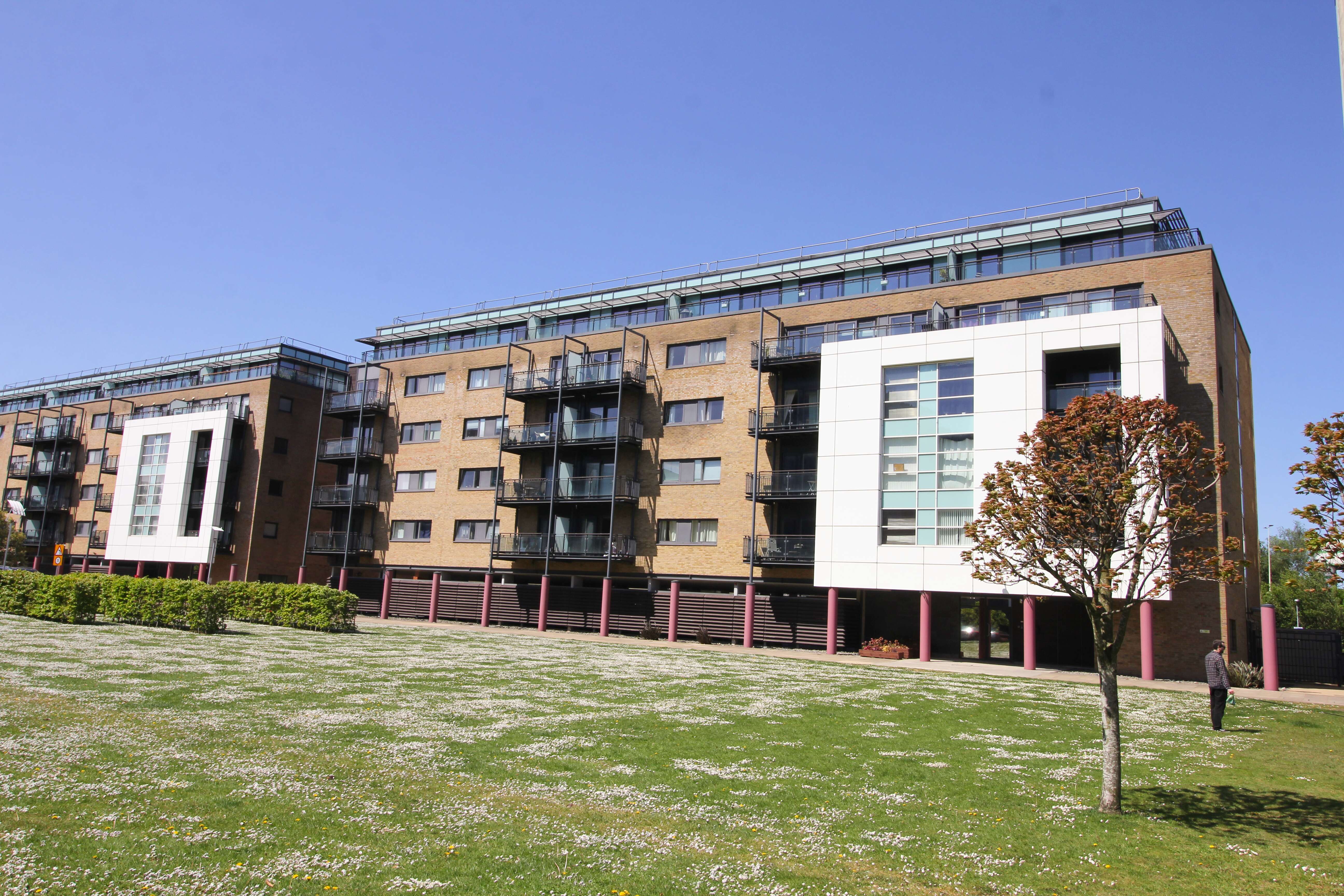 Flat Butetown Link in Cardiff