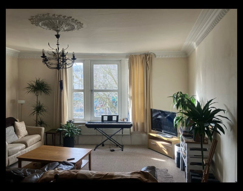 Room Whiteladies Road in Bristol