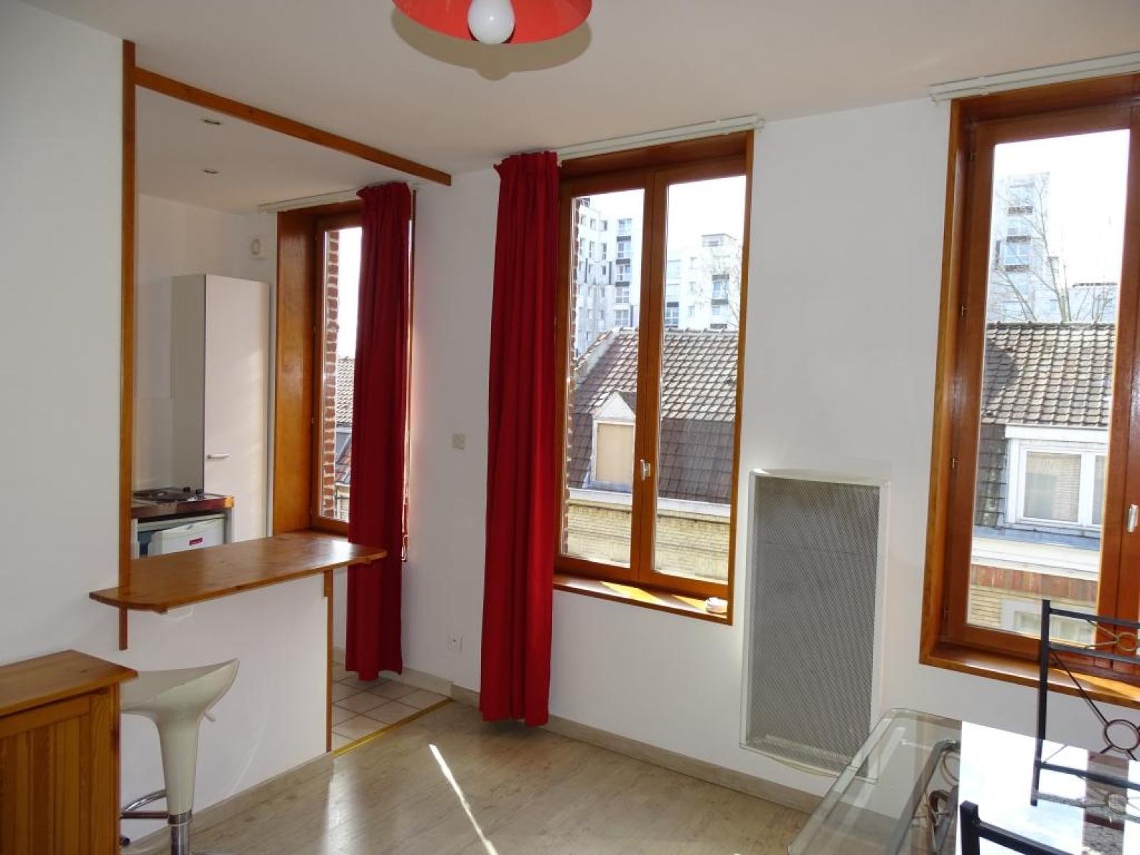 Flat Rue Vantroyen in Lille