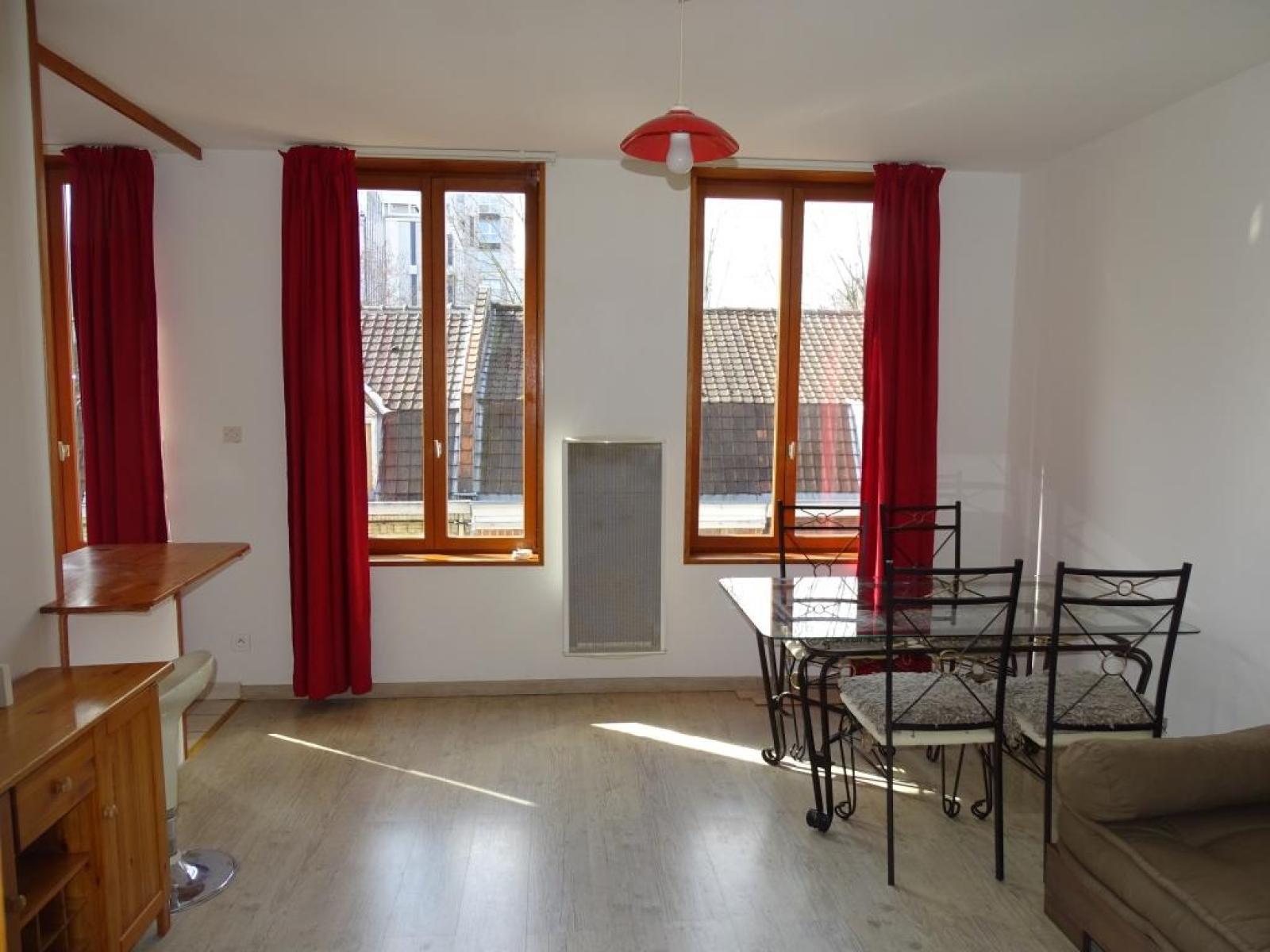 Flat Rue Vantroyen in Lille