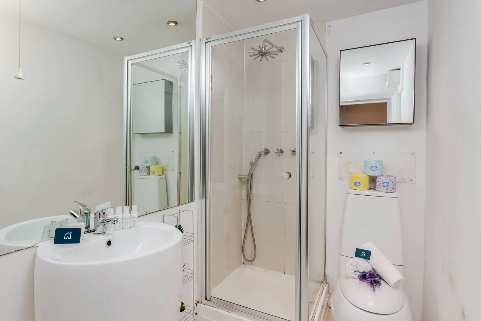 Flat Ebury Bridge Road in London