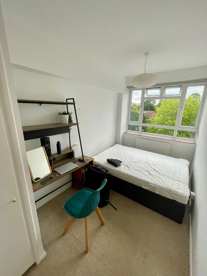 Flat Albert Drive in Greater London