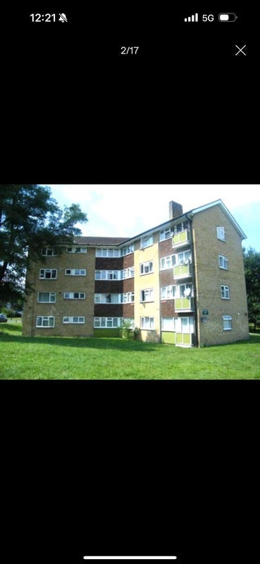 Room Fir Tree Gardens in Greater London