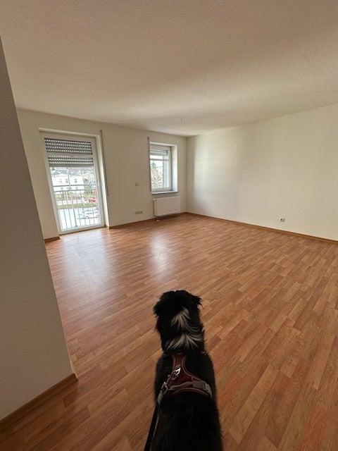 Wohnung Anna-Esche-Straße in Limbach-Oberfrohna