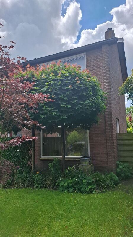 Appartement Nieuweburen 11