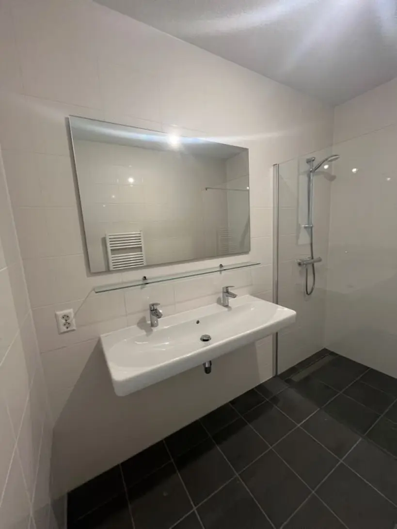 Flat Mahoniehout in Zaandam