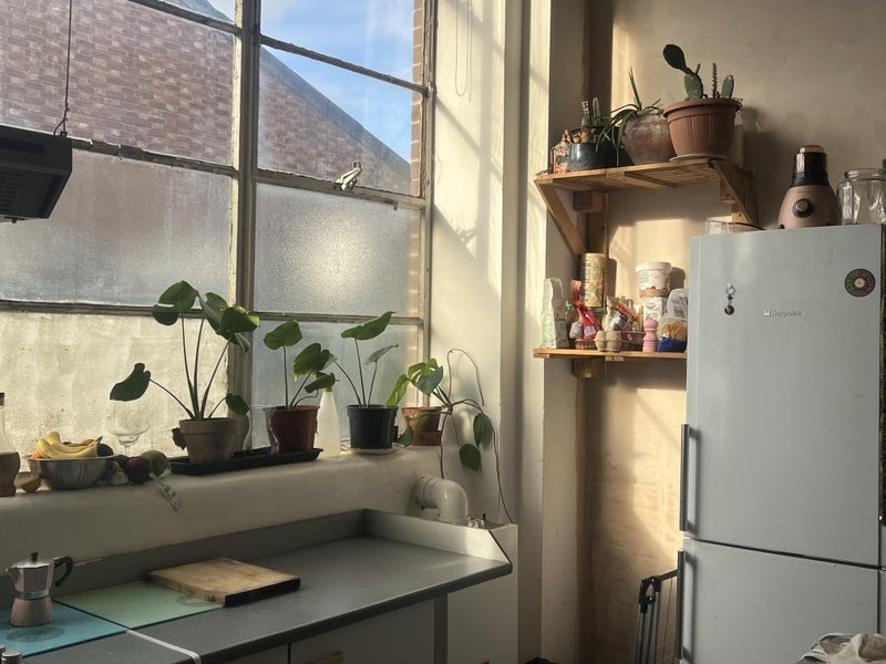 Room Markfield Road in Greater London