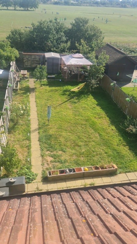 Room Grand Drive in Greater London