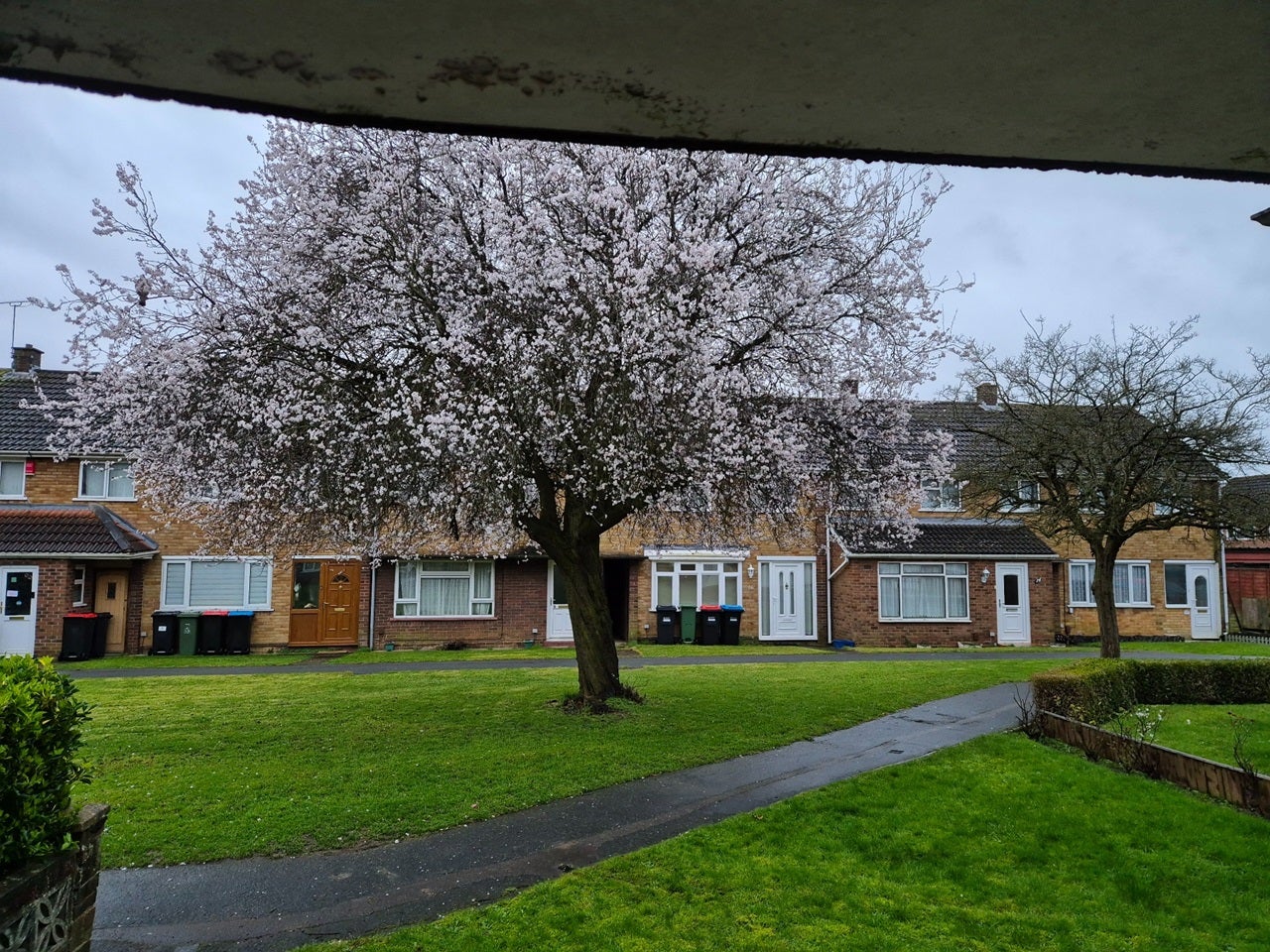 Room Avon Grove in Milton Keynes