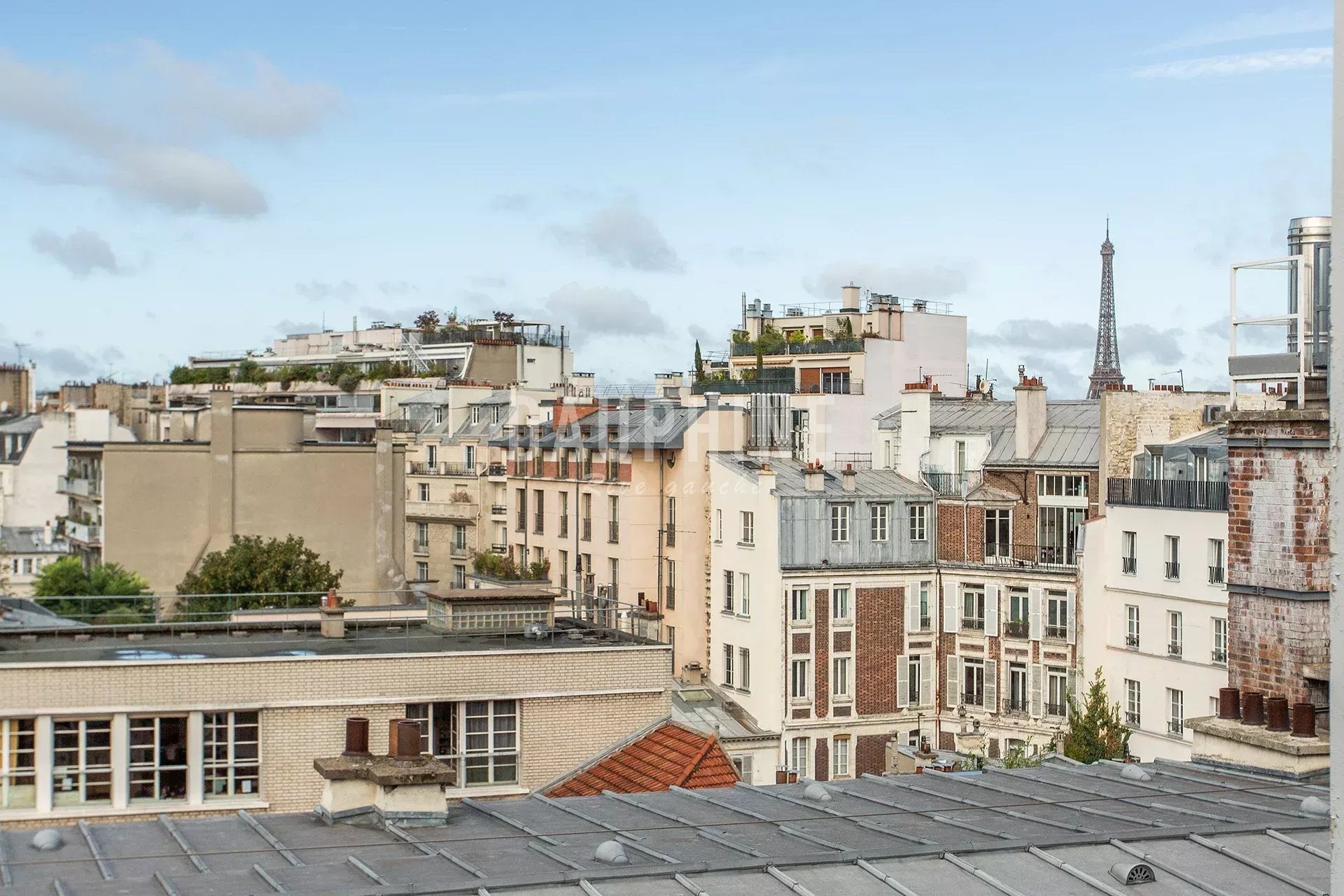 Flat Rue Littré in Paris