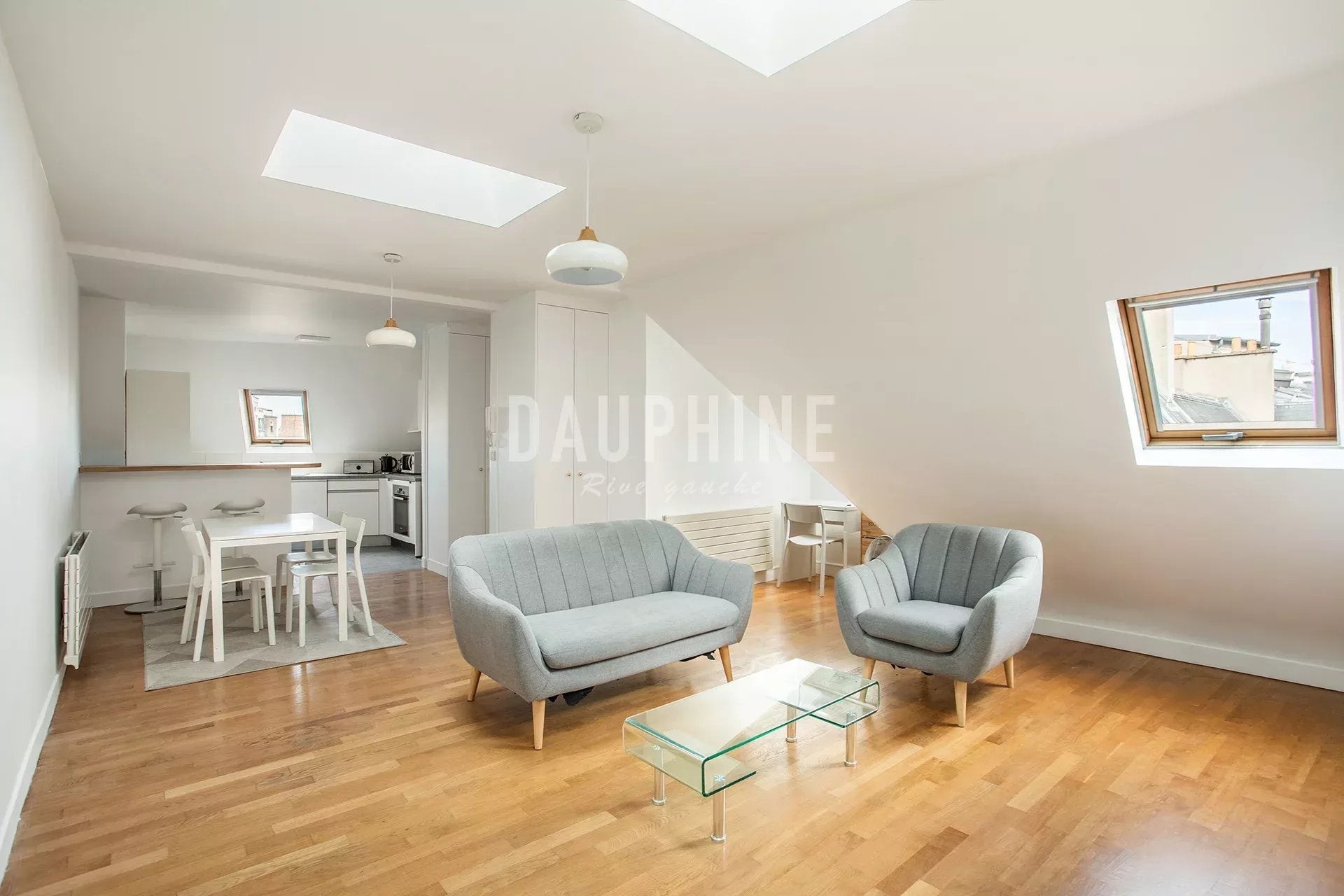 Flat Rue Littré in Paris