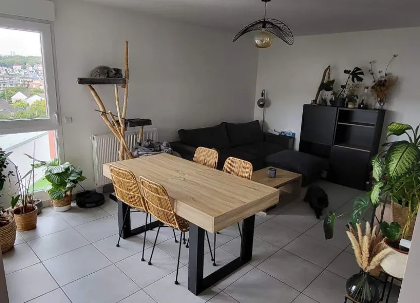 Appartement Rue Rosa Parks à Harfleur