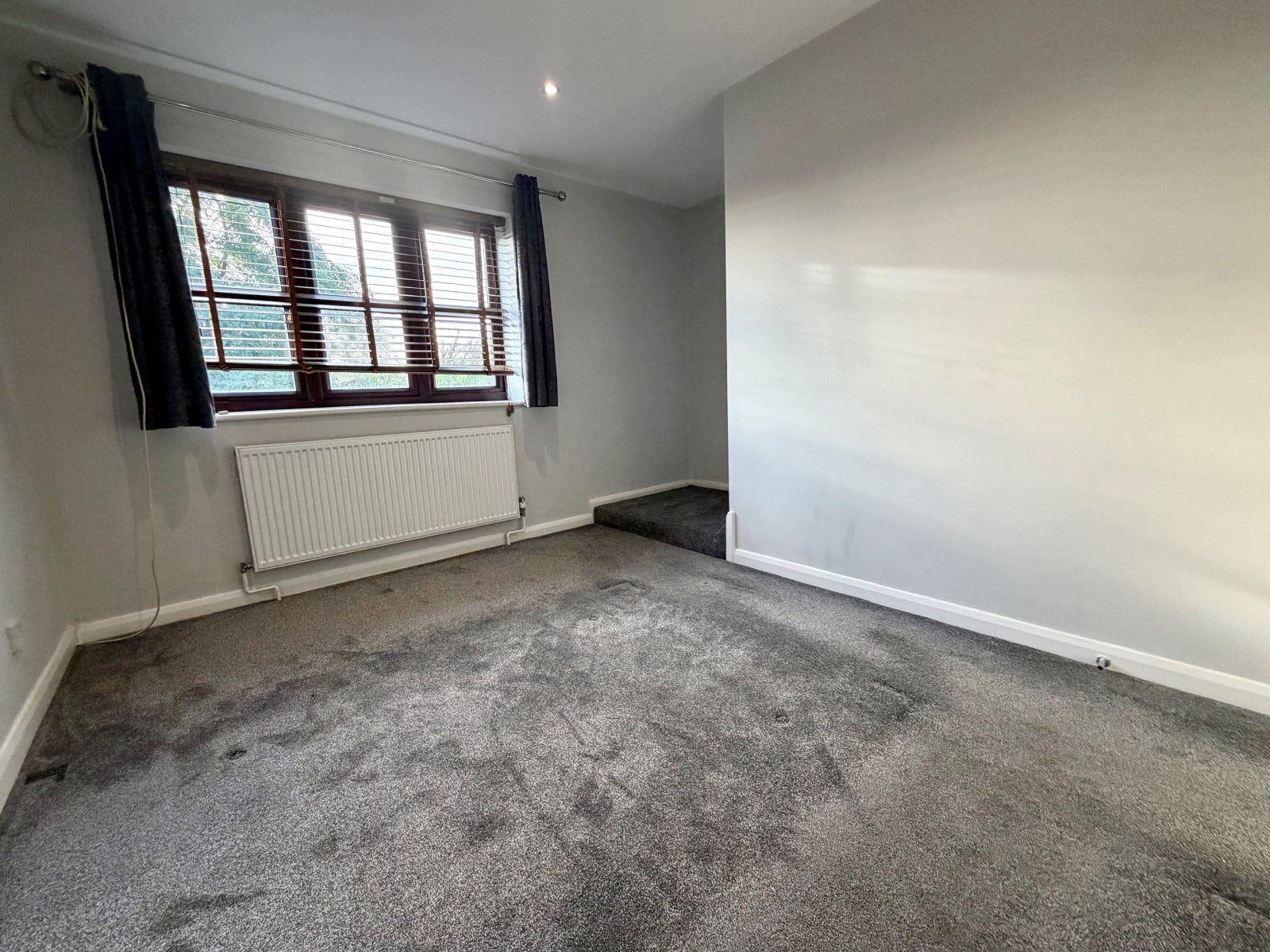 House Bull Close in Grays