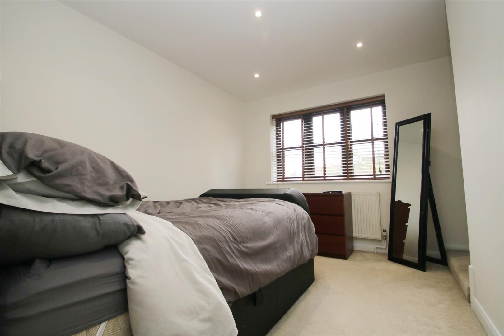 House Bull Close in Grays