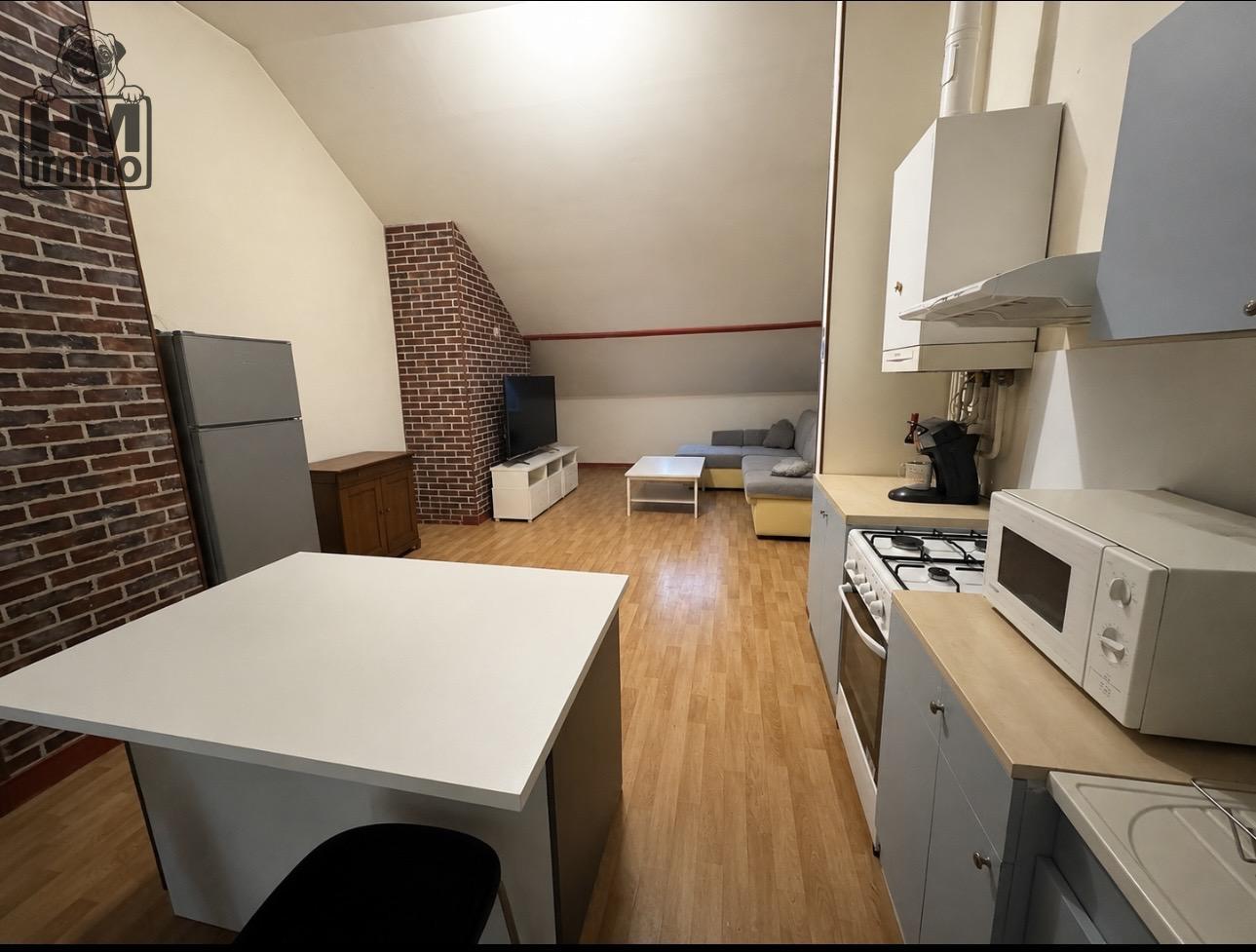 Flat Avenue Baudin in Limoges