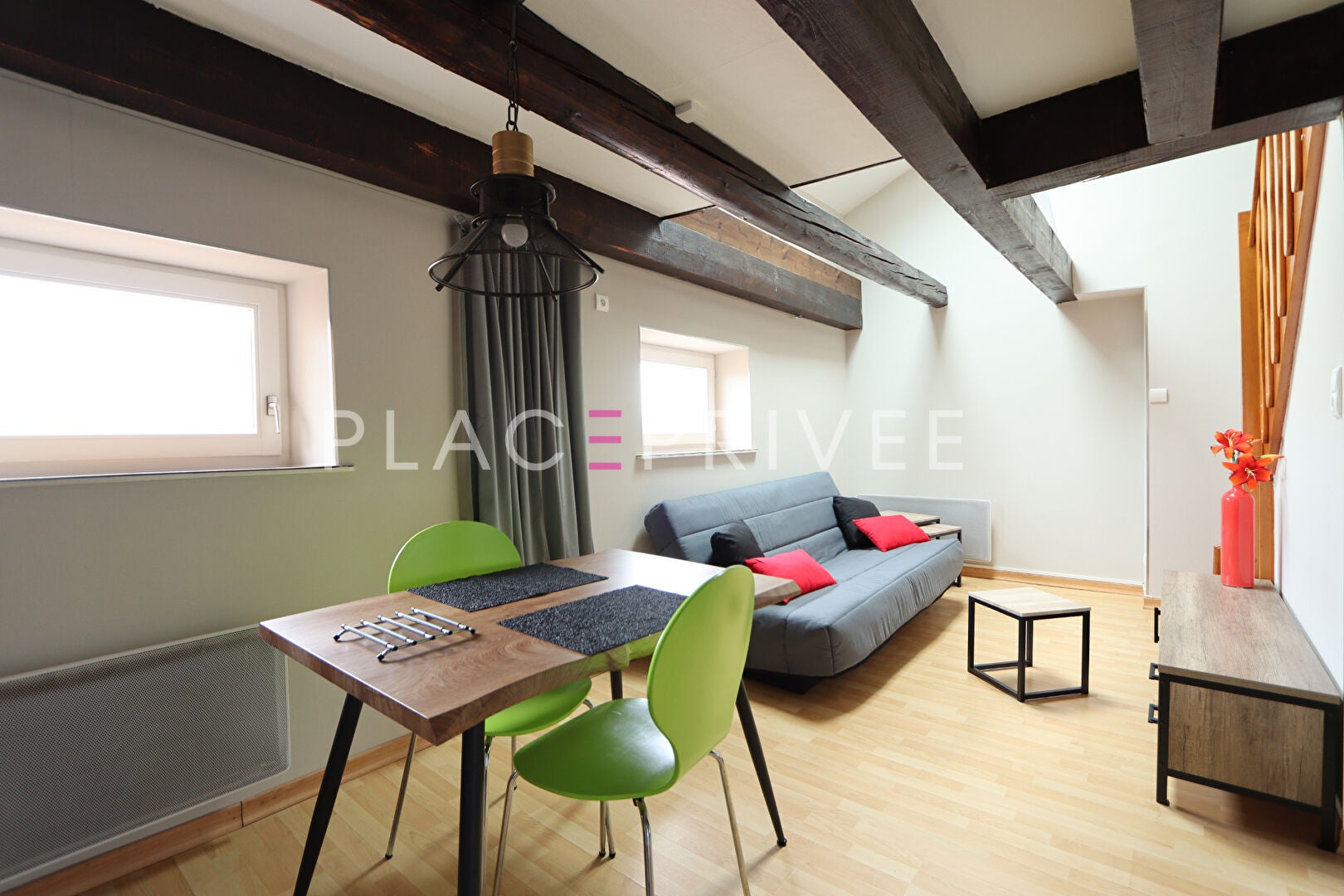 Flat Avenue Hippolyte Maringer in Nancy