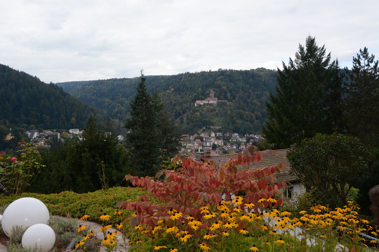 Wohnung Am Hochwald in Liebenzell
