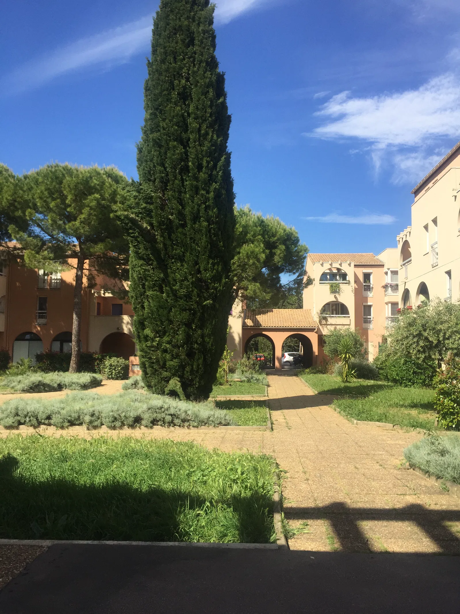 Chambre Avenue Maurice Planès à Montpellier