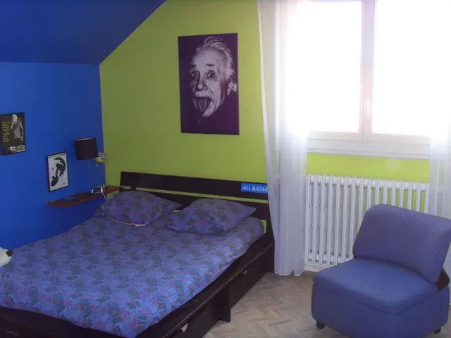 Chambre Rue des Troènes à Arnage