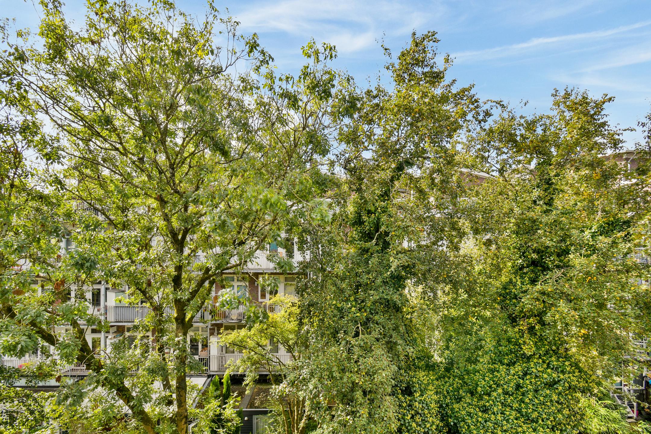 Appartement te koop: Orteliusstraat 181-3, Amsterdam