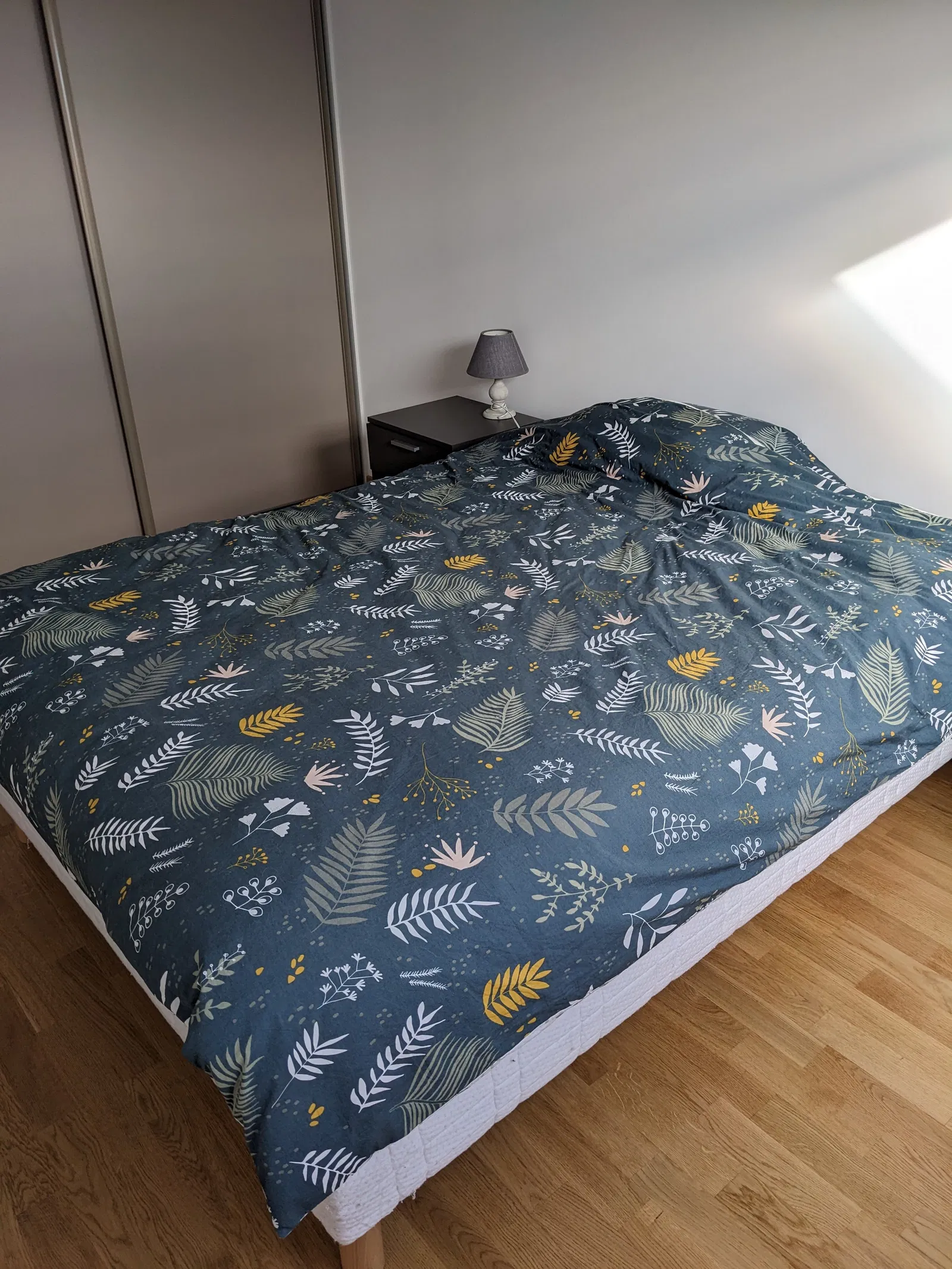 Room Route d'Annecy in Poisy
