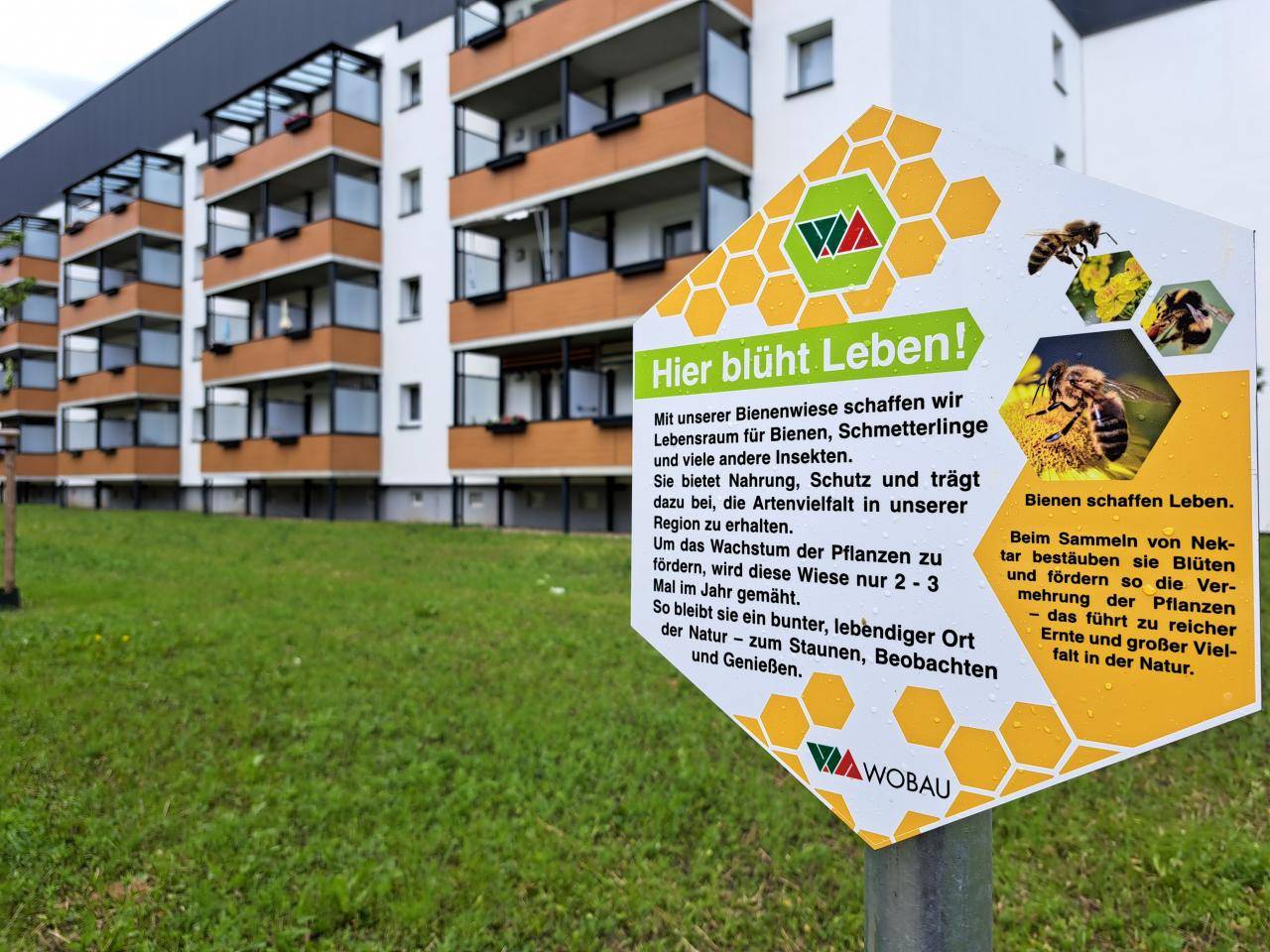 Wohnung Astonstraße in Magdeburg