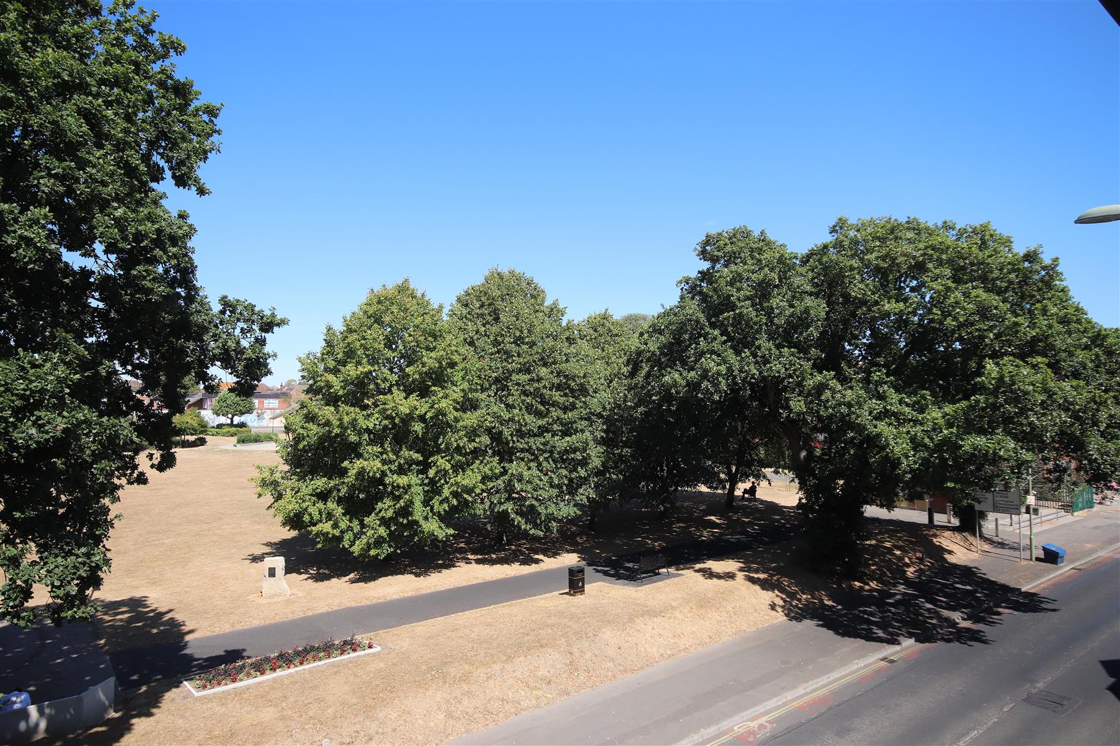 Flat Elm Avenue in New Forest