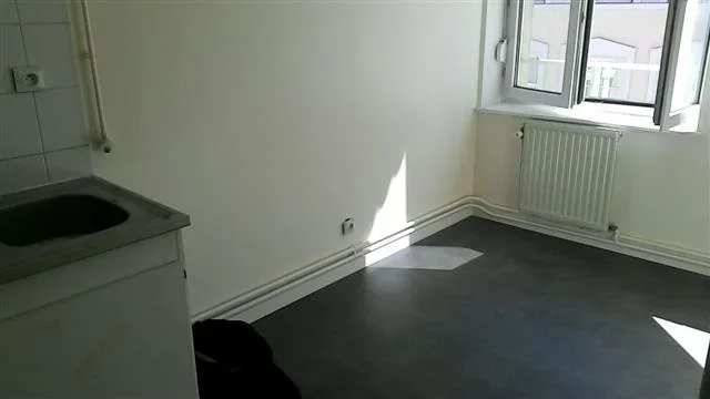 Flat Rue Professeur Weill in Lyon