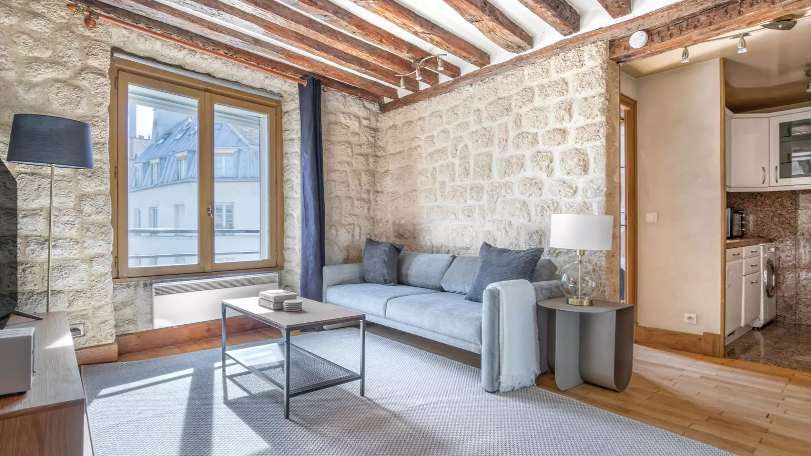 Flat Rue Pierre Leroux in Paris