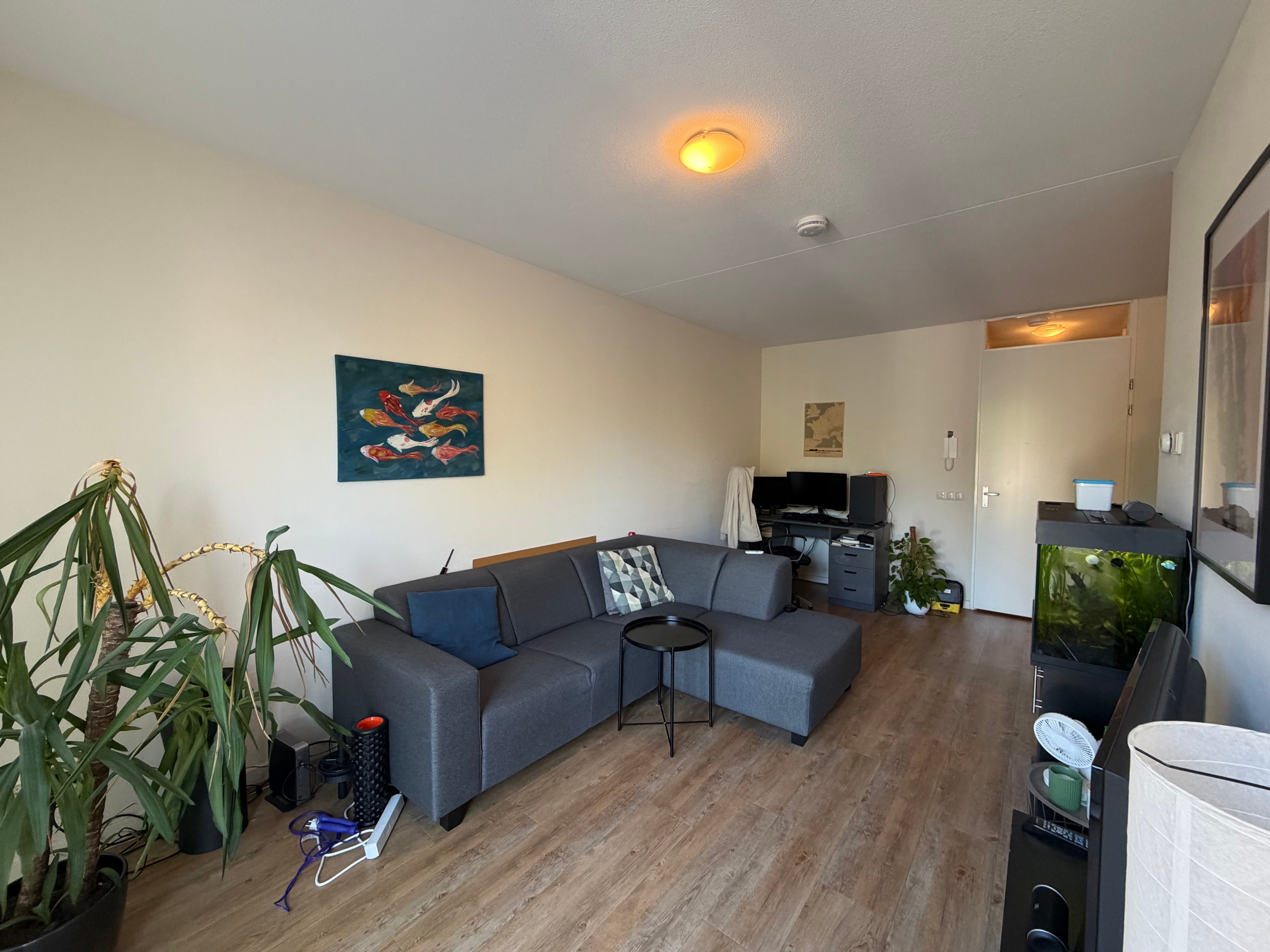 Appartement Hora Siccamasingel 2