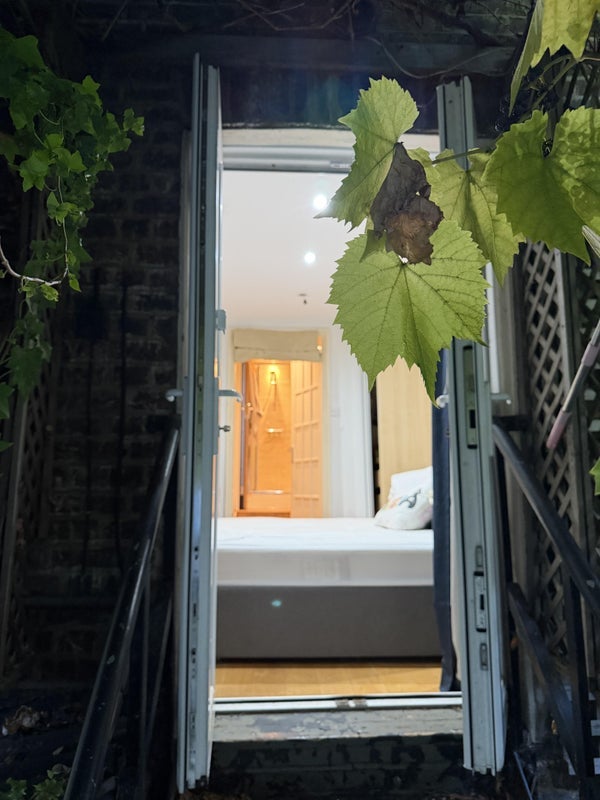 Room Gunter Grove in Greater London