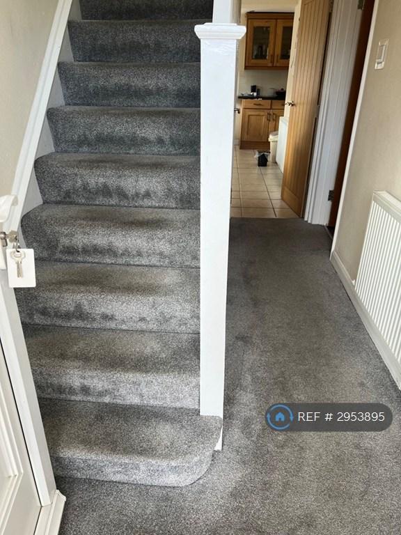 Room Draycott Avenue in Taunton