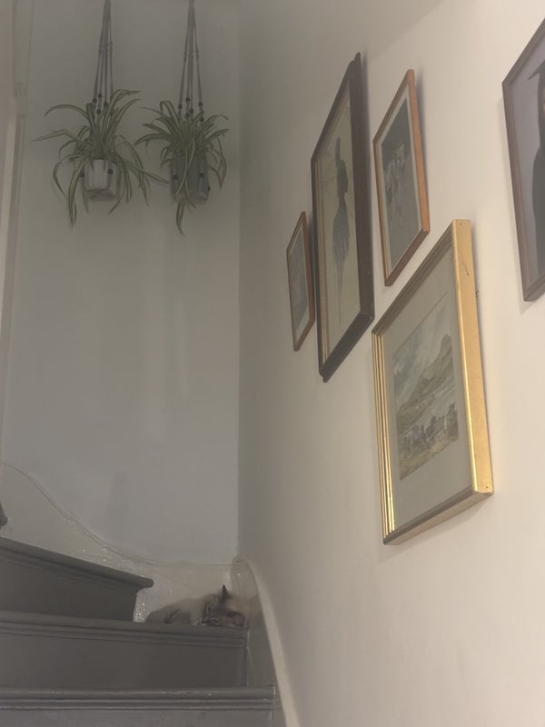 Room Alkerden Road in Greater London