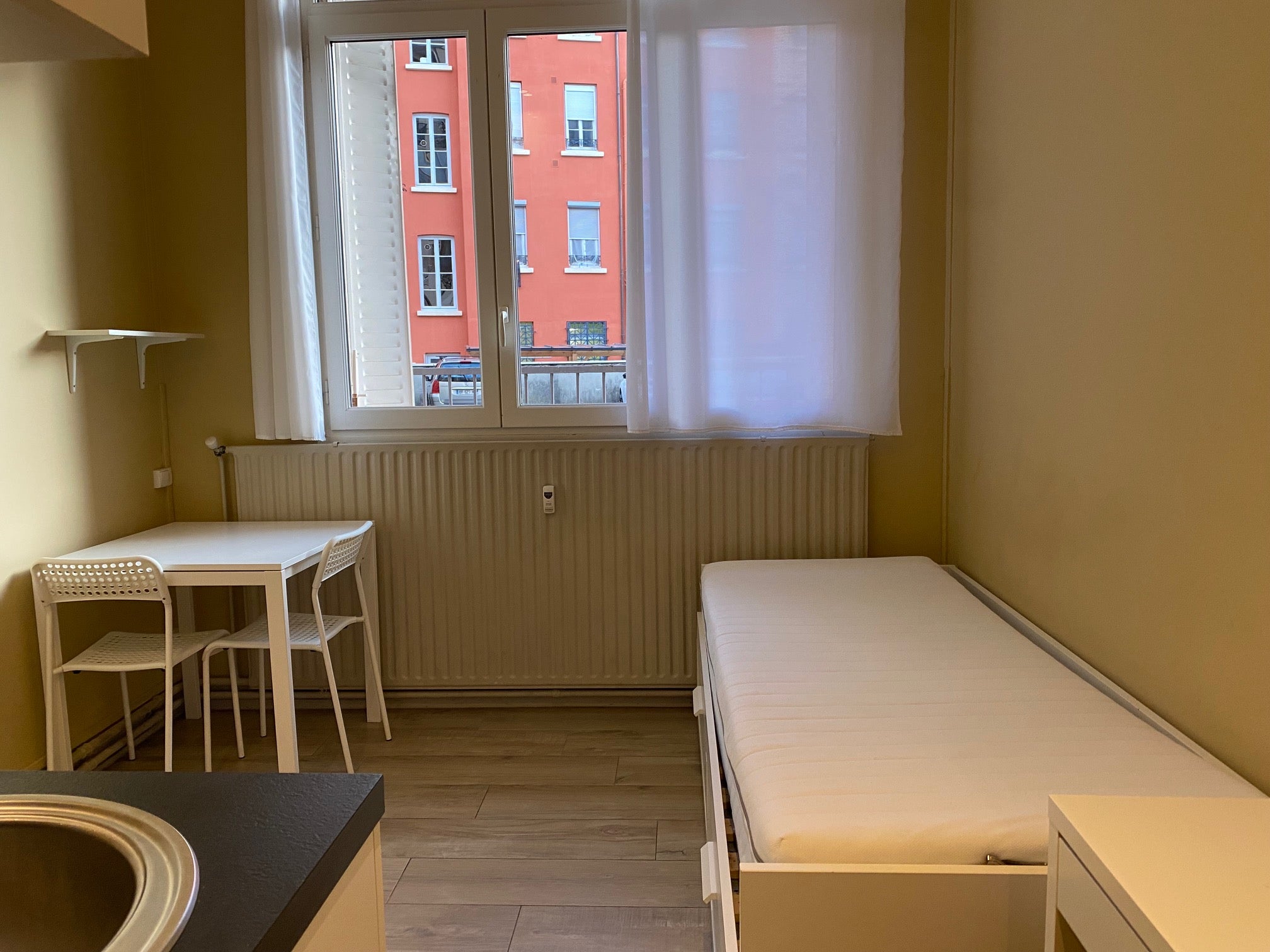 Flat Rue Paul Bert in Lyon
