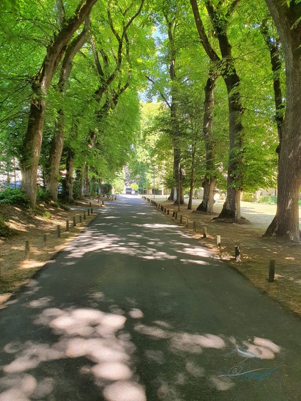 Appartement Chemin de la Grande Borne à Janville-sur-Juine