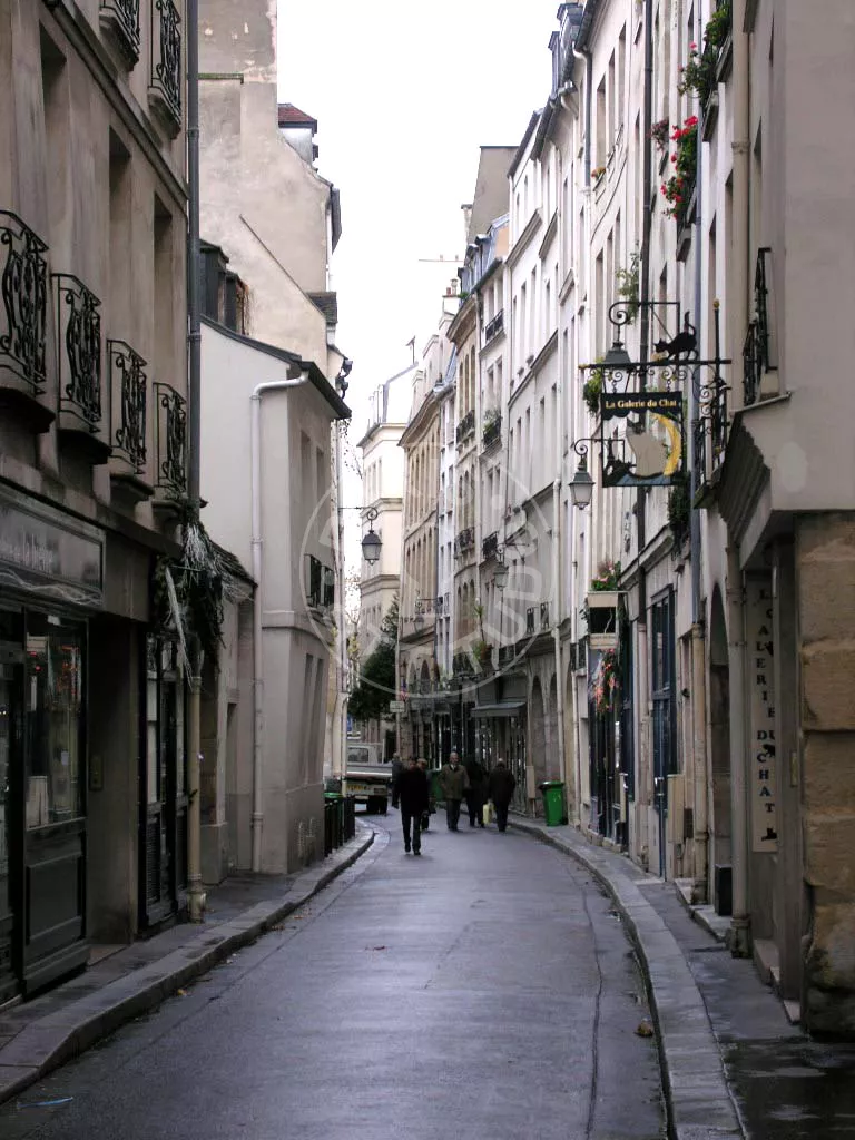 Flat Rue de Bièvre in Paris