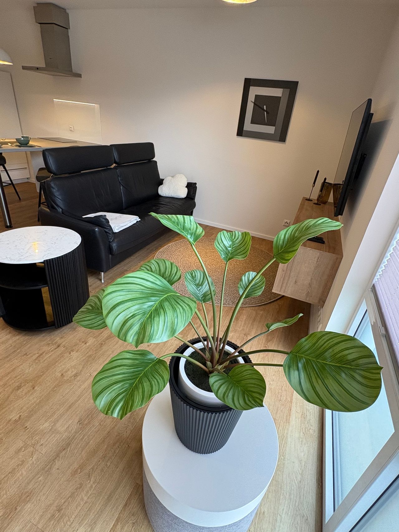 Wohnung Hinter der Hecke in Braunschweig