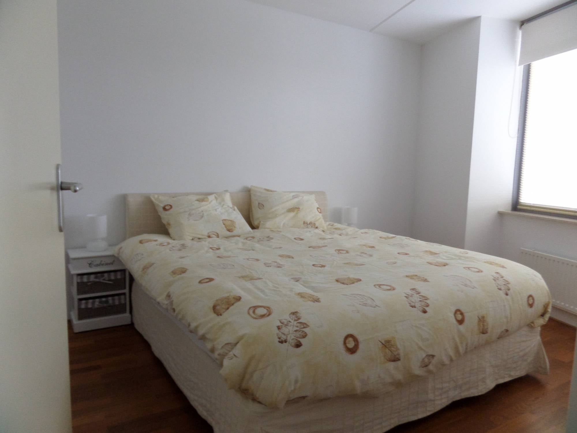 Appartement te huur: Saenredamstraat, Eindhoven