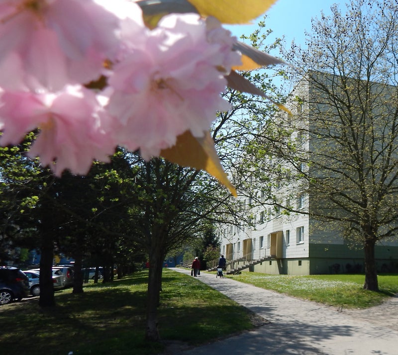 Wohnung Virchowstraße in Schkeuditz