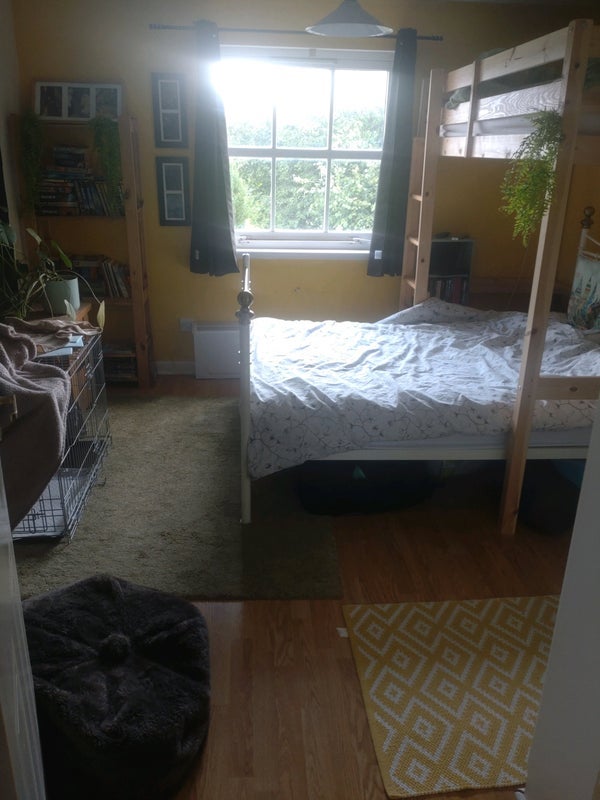 Room Longstone Avenue in East Linton