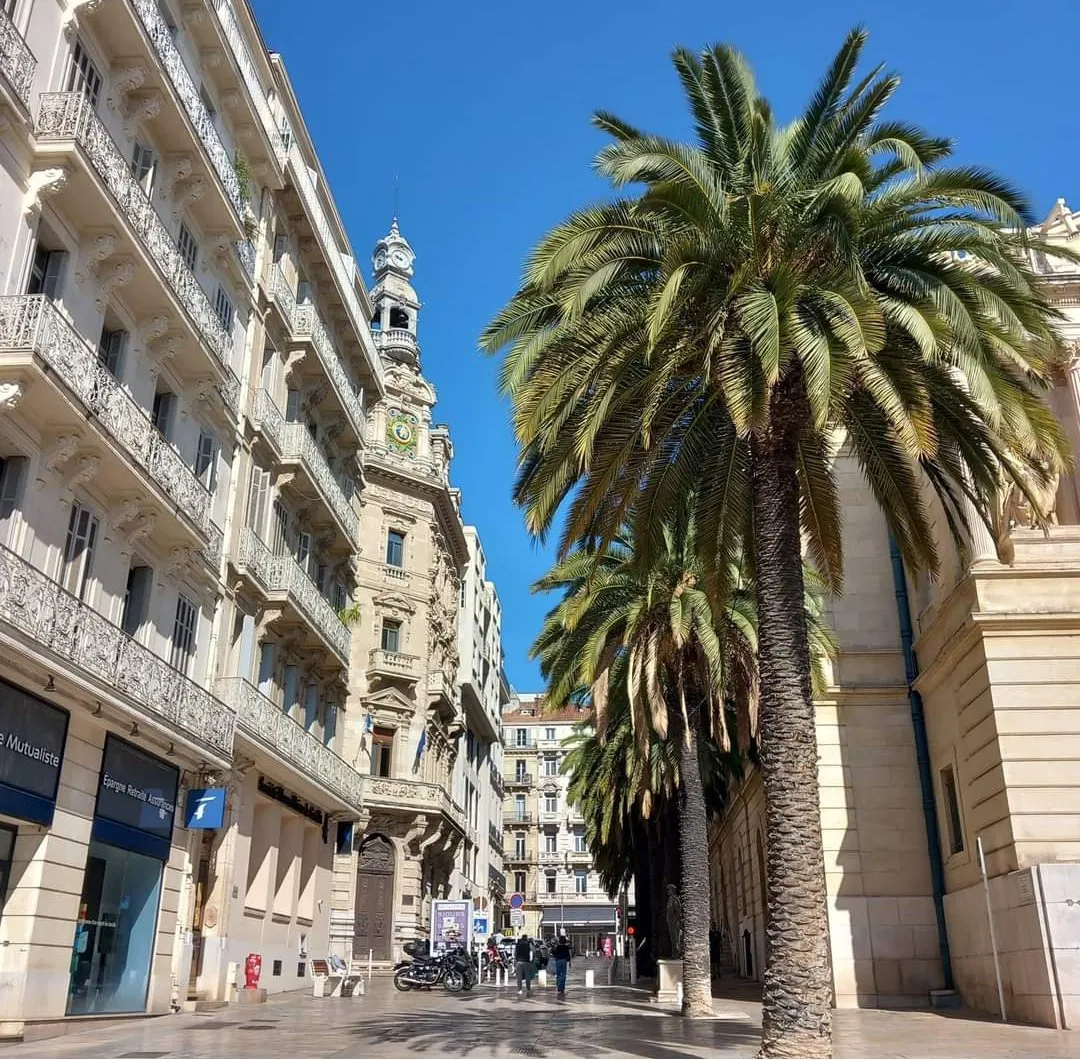 Room Rue Victor Clappier in Toulon